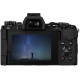 Цифровая системная фотокамера OLYMPUS E-M5 Mark II 12-50 Kit Black/Black